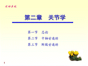 温州医科大学系统解剖学关节学2.ppt