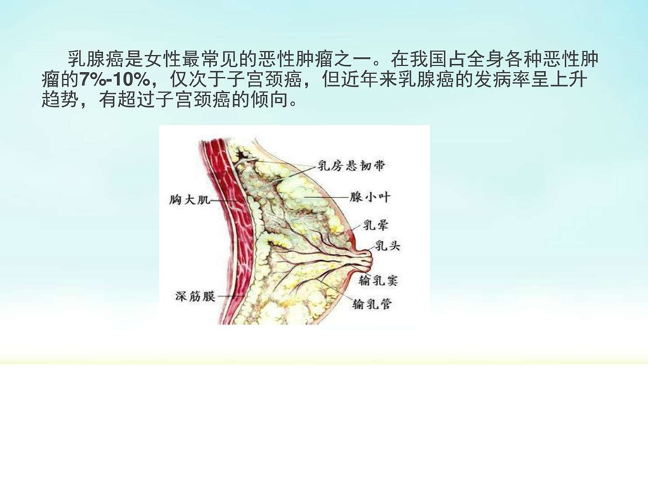 乳腺癌的病因和发病机制临床医学医药卫生专业资料.ppt.ppt_第2页