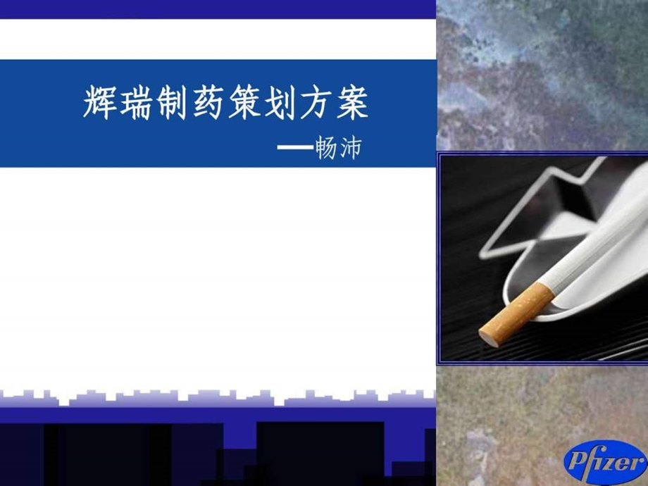 辉瑞销售策划.ppt_第1页