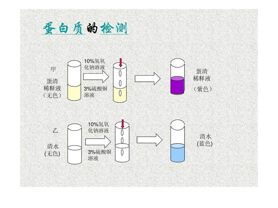 食物中的营养成分.ppt.ppt_第3页