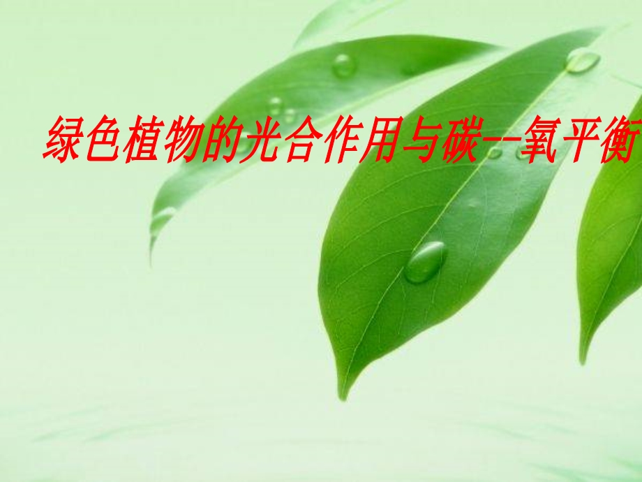 绿色植物的光合作用专题复习.ppt_第1页