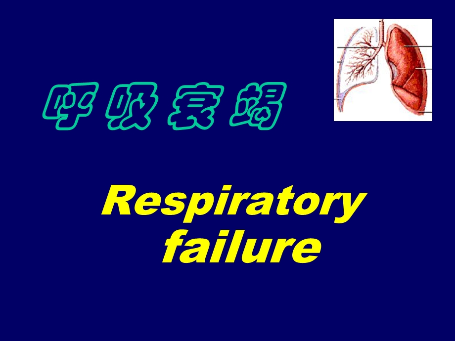 呼吸衰竭07医本科.ppt_第1页