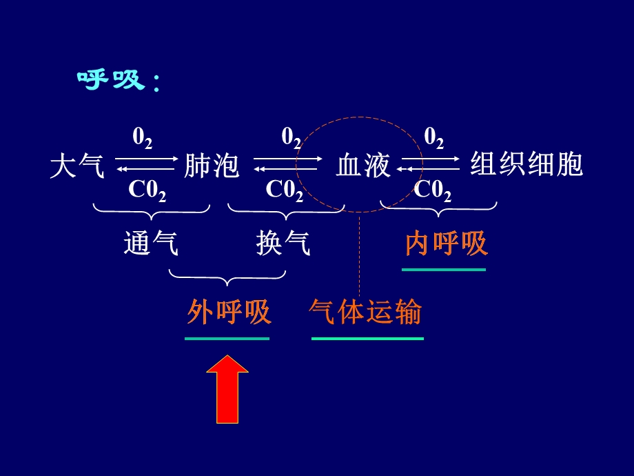 呼吸衰竭07医本科.ppt_第3页