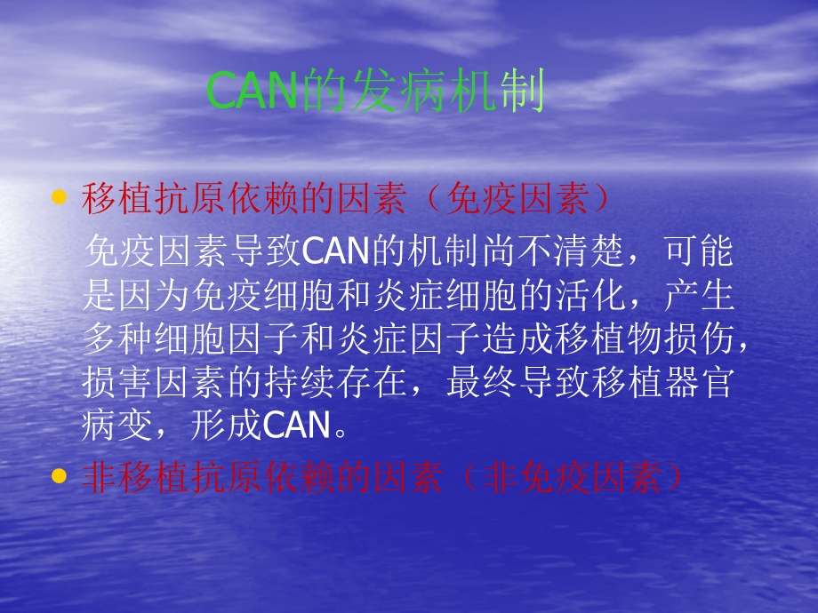 慢性移植肾肾病.ppt_第3页