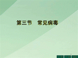 常见病毒课件图文.ppt.ppt