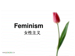 女性主义图文.ppt.ppt