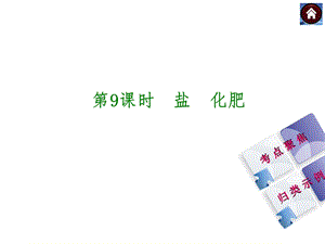 第9课时盐化肥.ppt