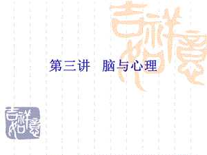 大脑与心理学.ppt