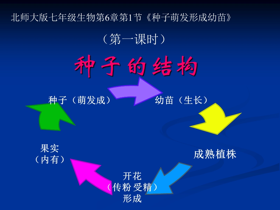 种子萌发形成幼苗.ppt_第1页