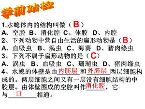 第二节线形动物和环节动物 精品教育.ppt