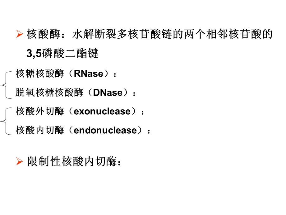 第二章基因工程工具酶简化版.ppt_第3页