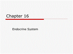 chapter16内分泌系统.ppt