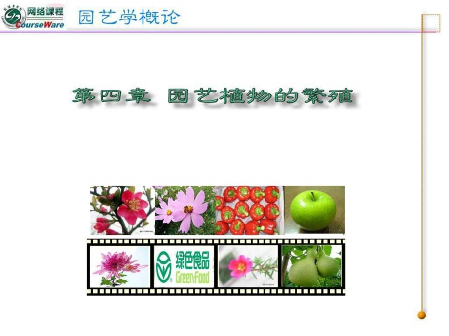 园艺植物的繁殖技术.ppt.ppt_第1页