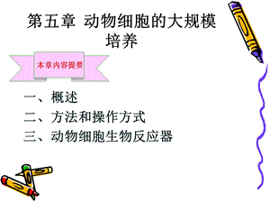 第五章动物细胞大规模培养.ppt