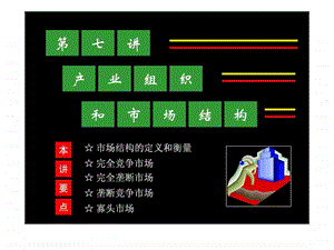 产业组织和市场结构05.ppt