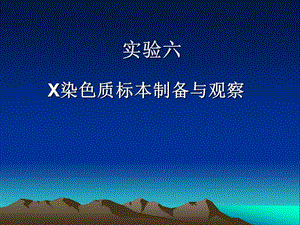 X染色质甲苯胺蓝.ppt