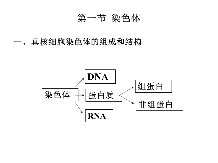 第二章染色体与DNA1.ppt_第2页