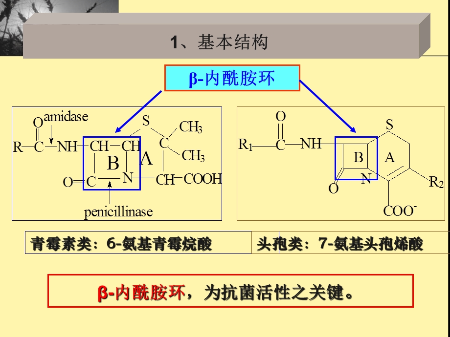 第七讲内酰胺类抗生素.ppt_第3页