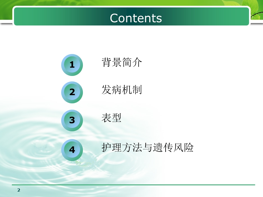 遗传学XP简介.ppt_第2页