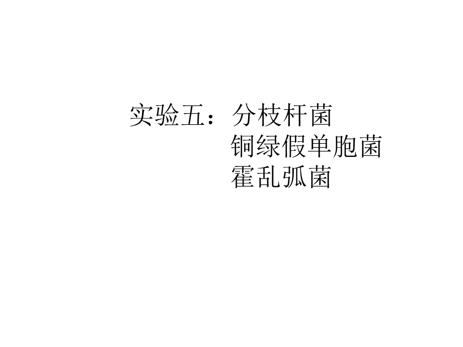 实验五分枝杆菌铜绿假单胞菌.ppt_第1页