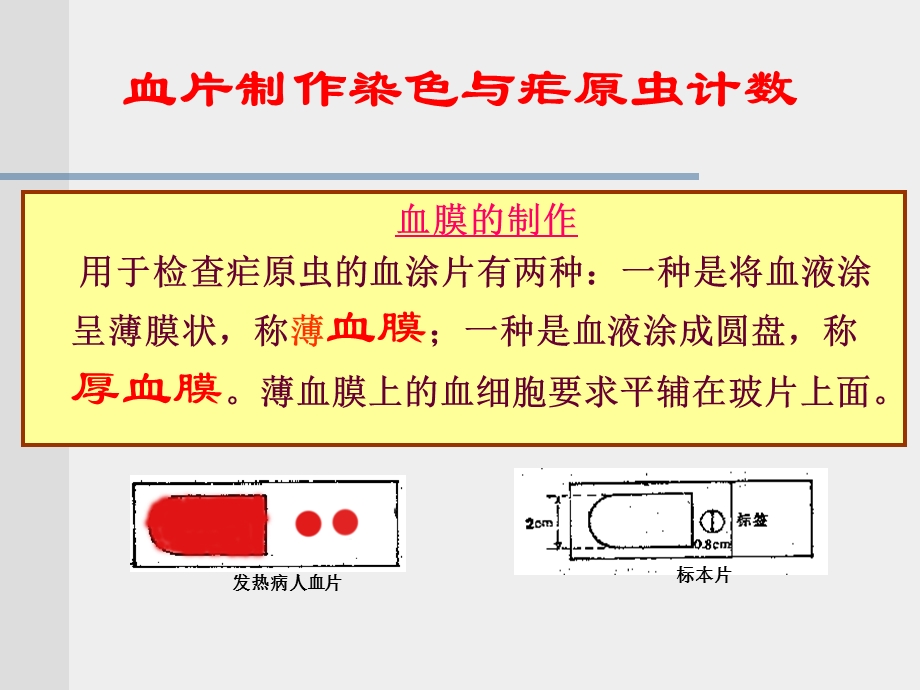 血片制作改.ppt_第1页