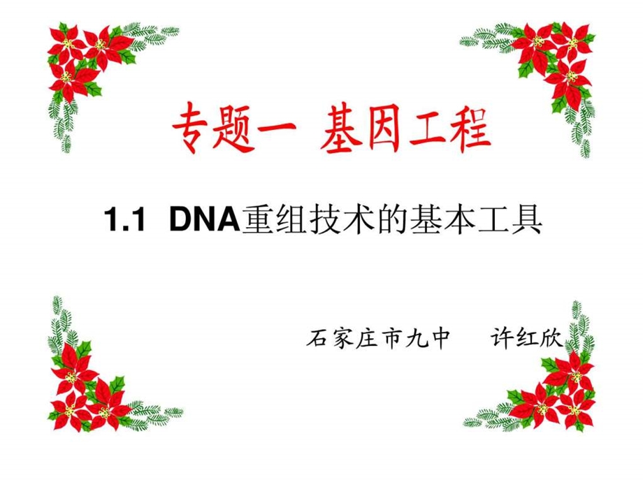 DNA重组技术的基本工具公开课.ppt.ppt_第1页