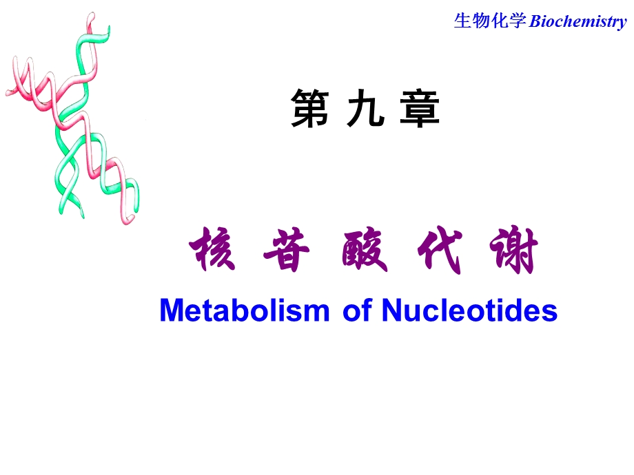 第9章核苷酸代谢.ppt_第1页