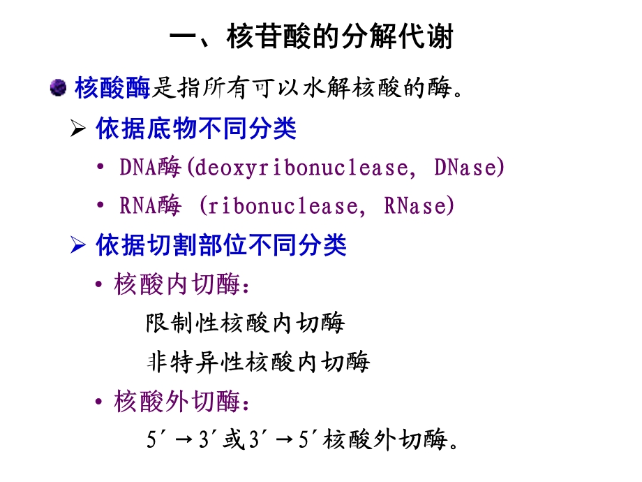 第9章核苷酸代谢.ppt_第3页