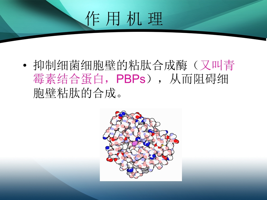 β内酰胺类抗菌药物.ppt_第2页