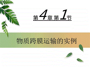 物质跨膜运输实例图文.ppt.ppt