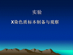 X染色质标本制备与观察.ppt