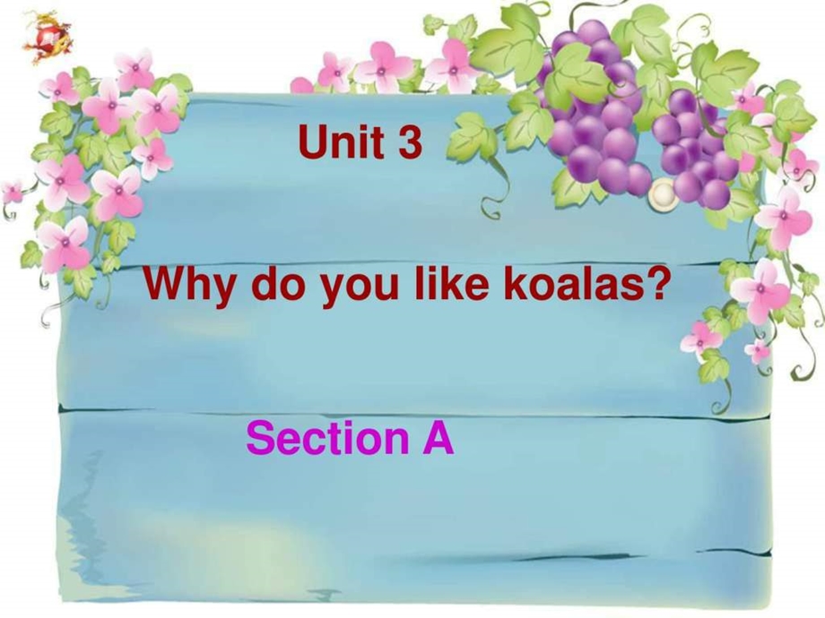 Whydoyoulikekoalas课件SectionA.ppt_第1页