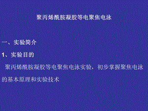 聚丙烯酰胺凝胶等电聚焦电泳.ppt