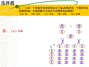 遗传学练习讲解.ppt