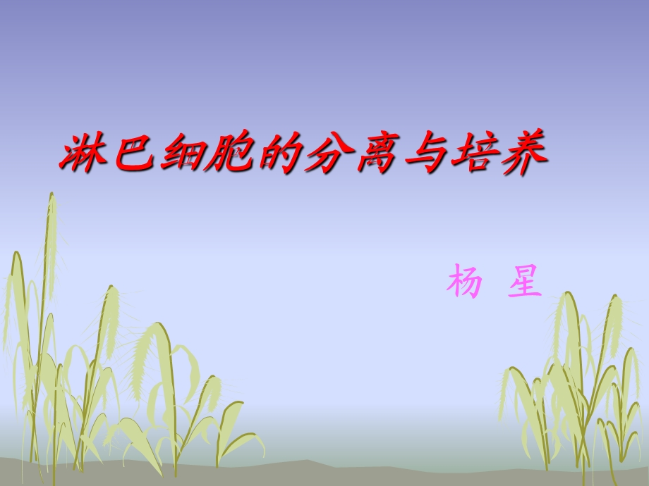 淋巴细胞培养与分离.ppt_第1页