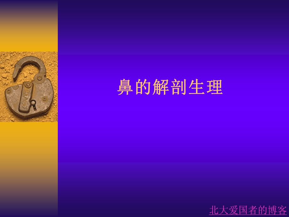 鼻部解剖生理.ppt_第1页