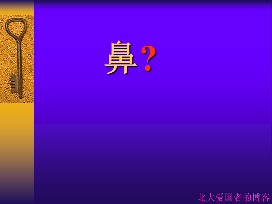 鼻部解剖生理.ppt_第2页