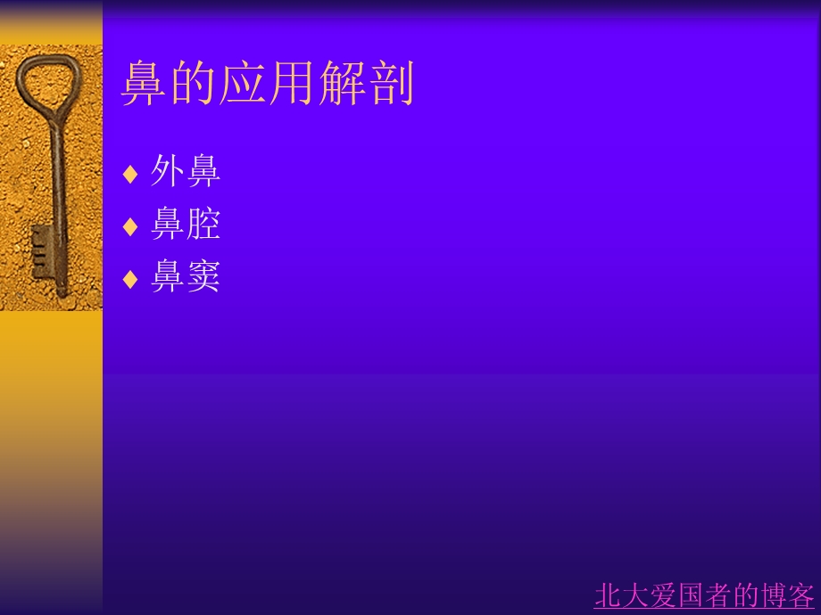 鼻部解剖生理.ppt_第3页