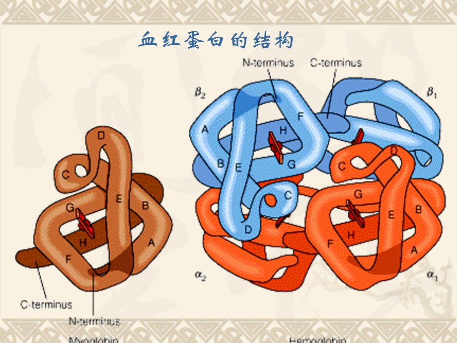 第十九章氨基酸蛋白质和核糖核酸.ppt_第3页