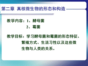 第二章真菌.ppt