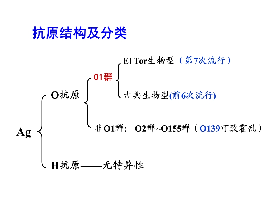 第11章弧菌属.ppt_第3页