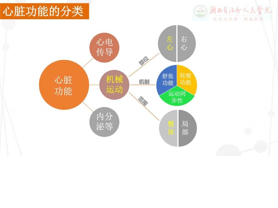 心功能测量修改版图文.ppt.ppt_第2页