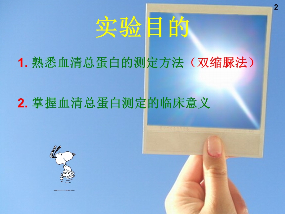 血清蛋白质含量的测定.ppt_第2页