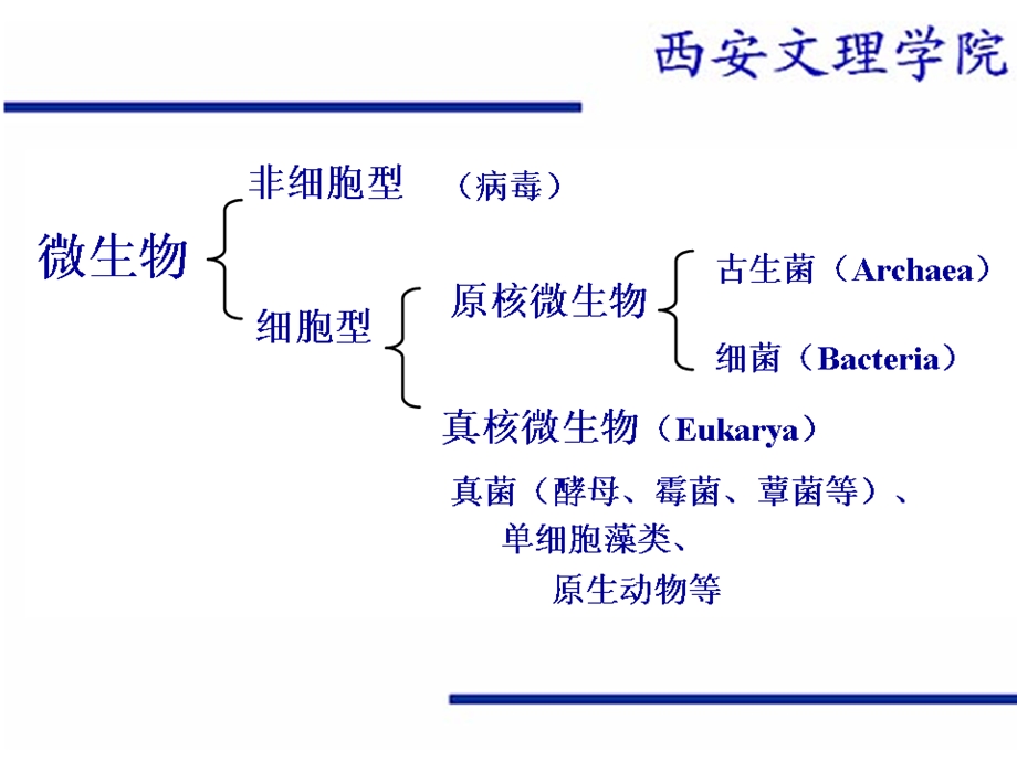 第一章园艺学专业.ppt_第3页