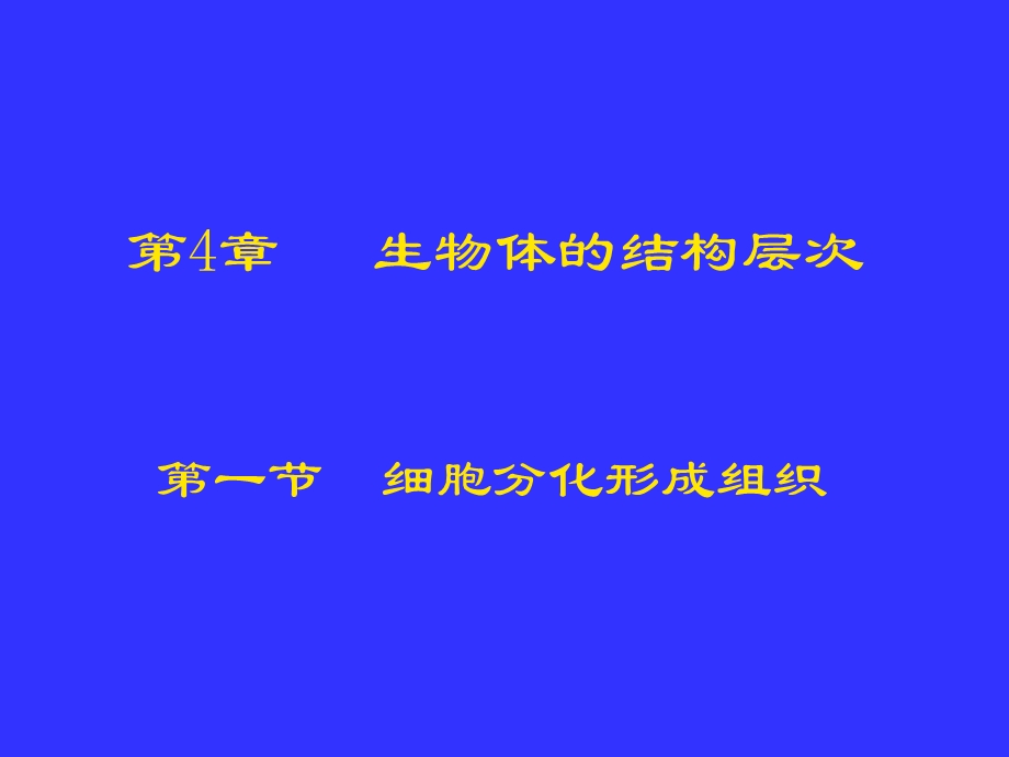 41细胞分化形成组织1.ppt_第1页