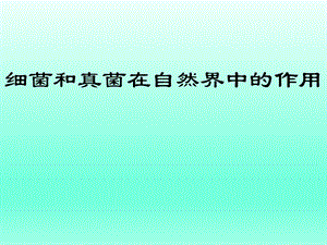 第四节细菌和真菌在自然界中的作用课件人教新课标版精品教育.ppt