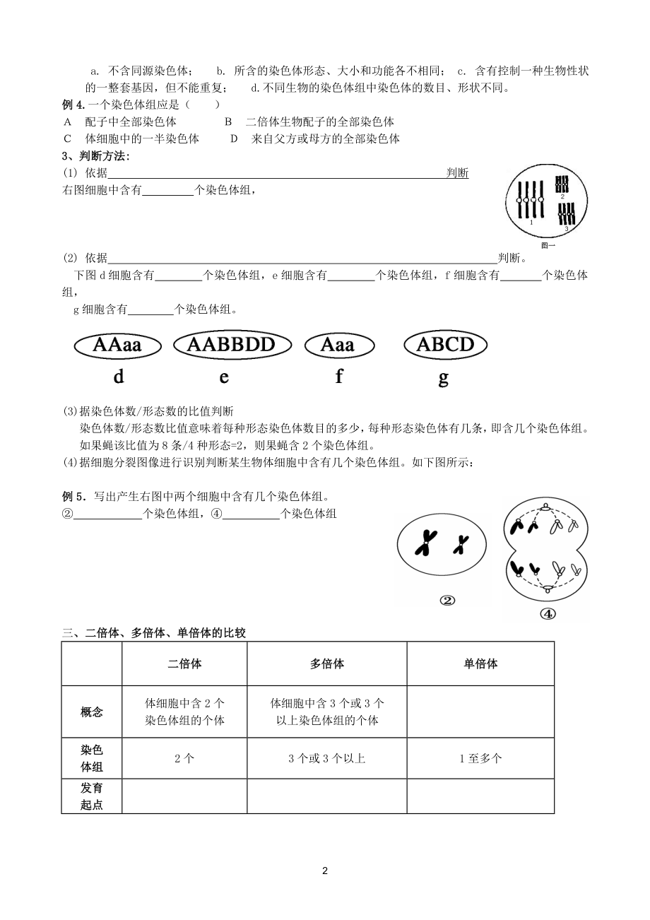 染色体变异复习学案.doc_第2页