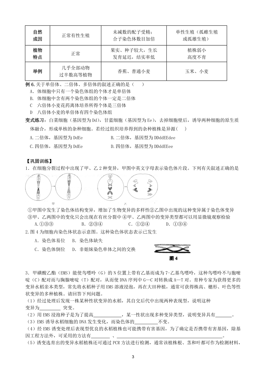 染色体变异复习学案.doc_第3页