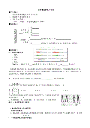 染色体变异复习学案.doc