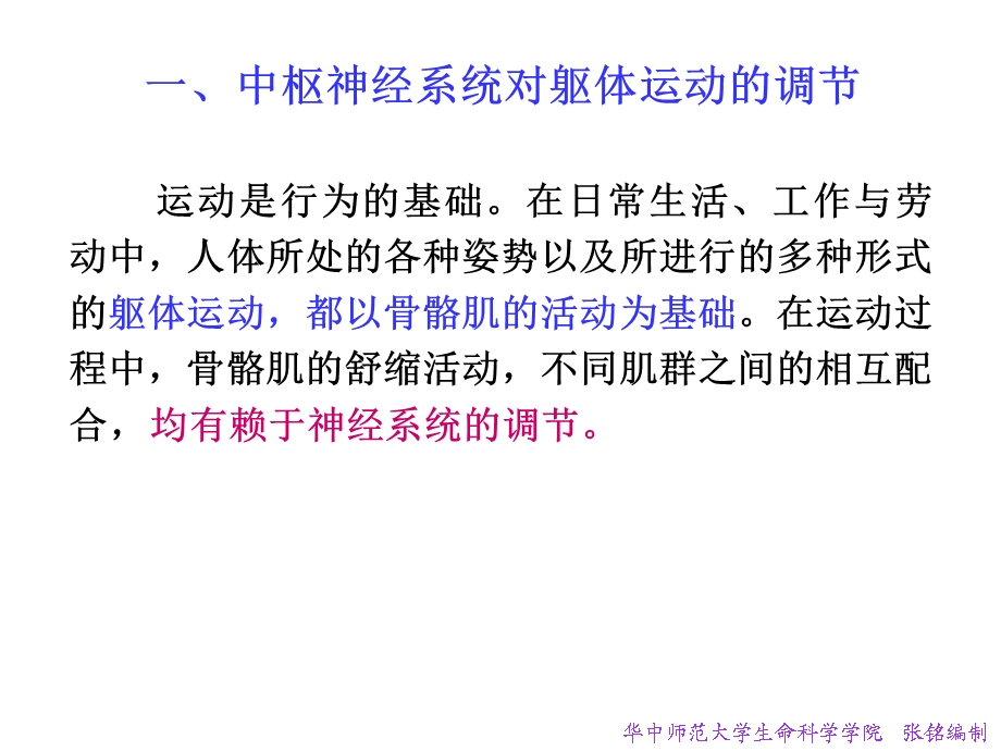 第三章动物生理学神经系统2张铭.ppt_第3页